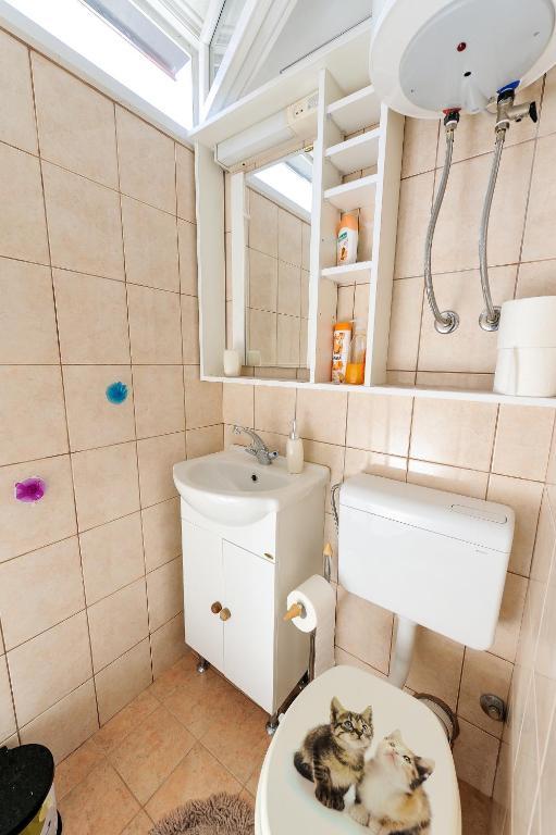 Apartment Kovacic_grubisic